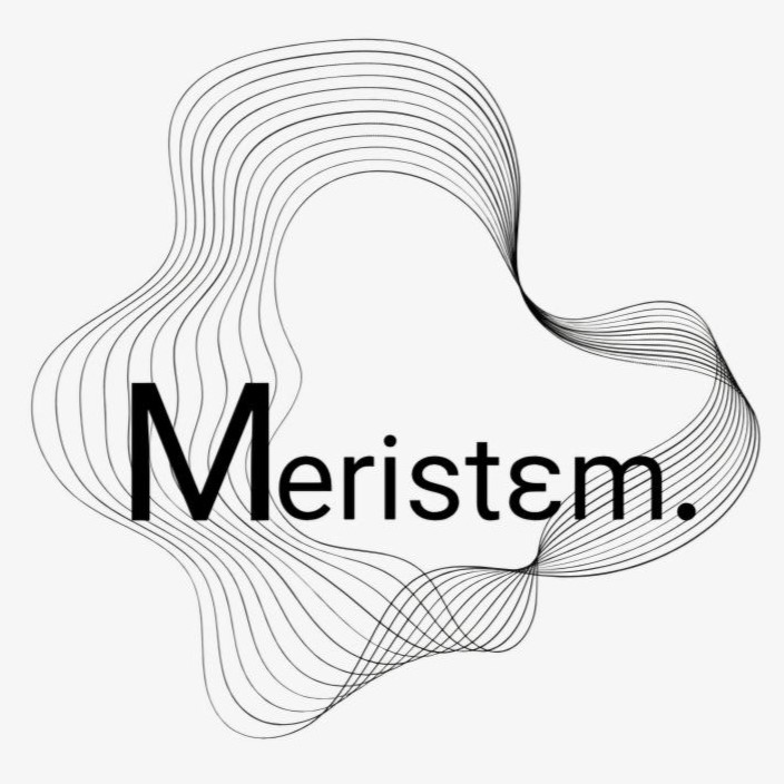 Logo Méristème Studio